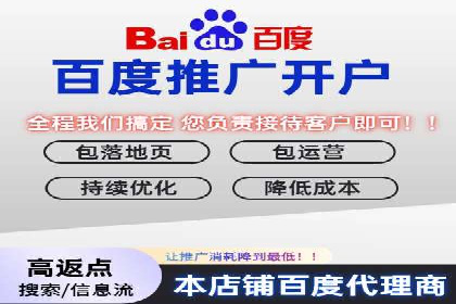 百度推广排名案例报告：某行业巨头如何运用其占领市场高地
